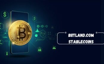 biitland.com stablecoins