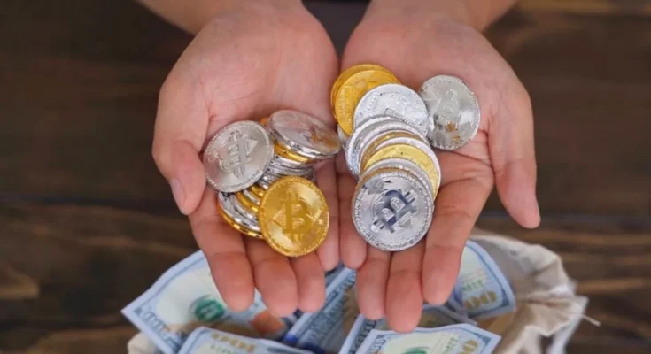 ecrypto1.com crypto wallets