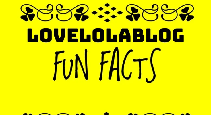 lovelolablog fun facts