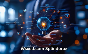 wsxed.com splindorax